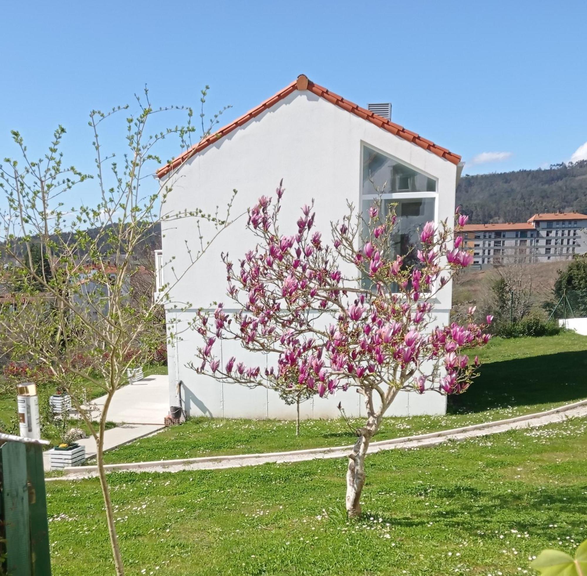 Lar Jardin - Parking Privado Santiago de Compostela